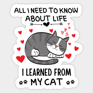 All I Need To Know About Life I Learned From My Cat Sticker